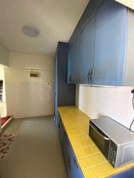 Neptune Court (D15), Apartment #577809481